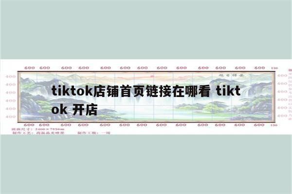 tiktok店铺首页链接在哪看 tiktok 开店