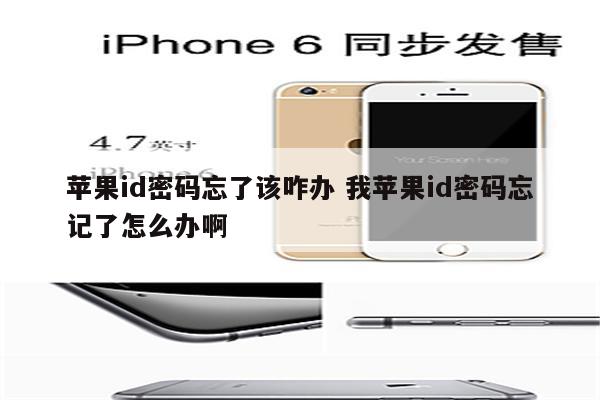 苹果id密码忘了该咋办 我苹果id密码忘记了怎么办啊