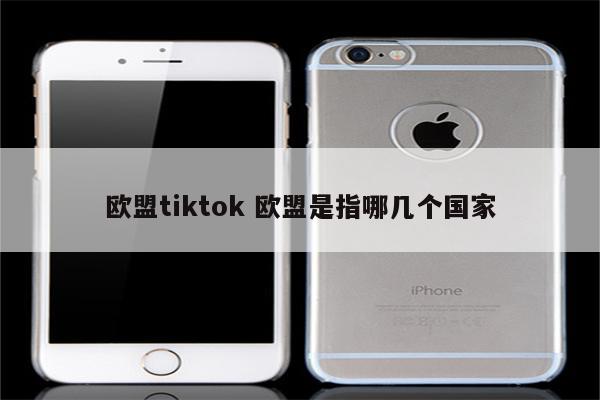 欧盟tiktok 欧盟是指哪几个国家