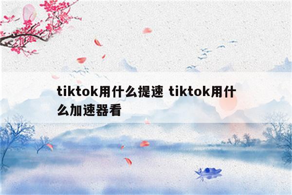 tiktok用什么提速 tiktok用什么加速器看