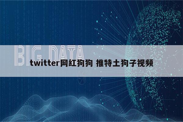 twitter网红狗狗 推特土狗子视频