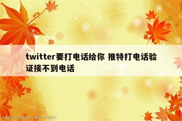 twitter要打电话给你 推特打电话验证接不到电话