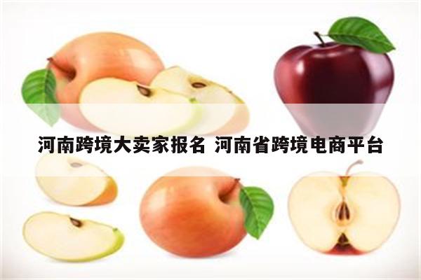 河南跨境大卖家报名 河南省跨境电商平台