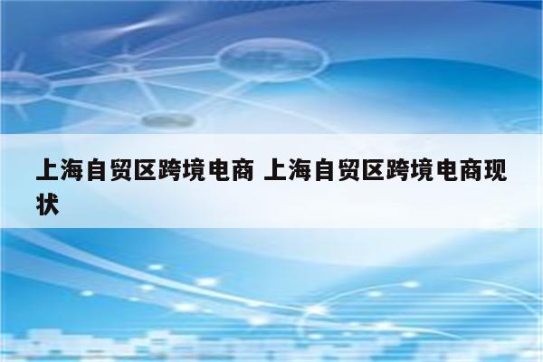 上海自贸区跨境电商 上海自贸区跨境电商现状