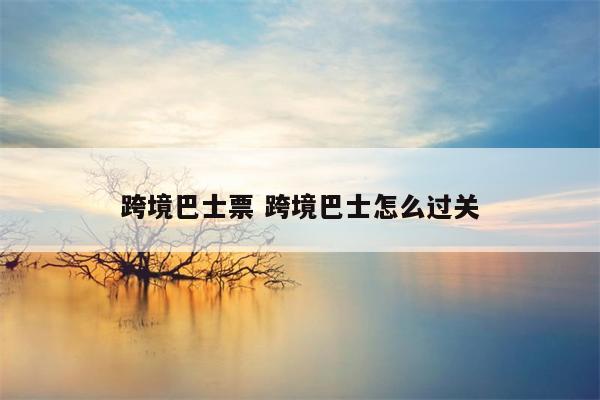 跨境巴士票 跨境巴士怎么过关