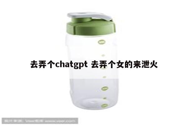 去弄个chatgpt 去弄个女的来泄火