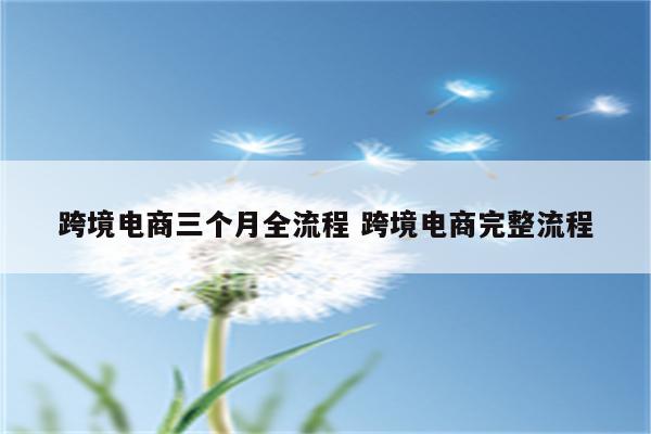 跨境电商三个月全流程 跨境电商完整流程