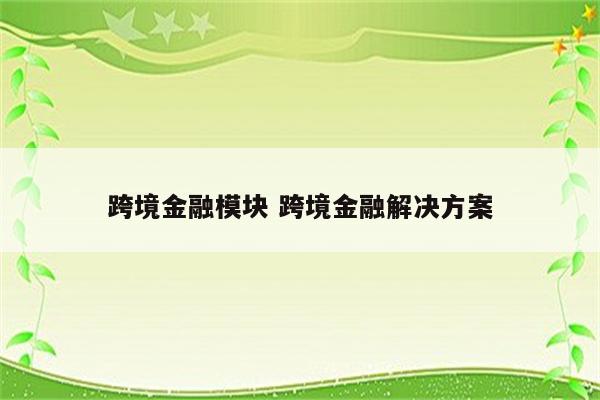 跨境金融模块 跨境金融解决方案