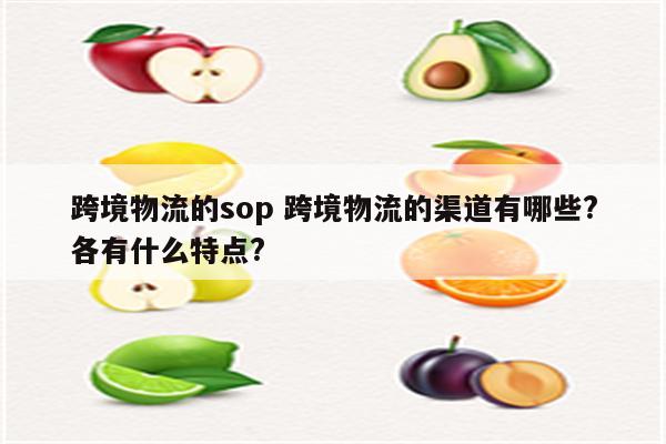 跨境物流的sop 跨境物流的渠道有哪些?各有什么特点?