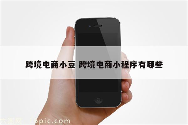 跨境电商小豆 跨境电商小程序有哪些