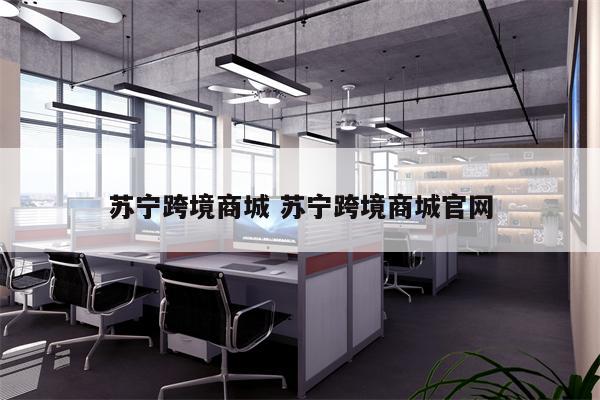 苏宁跨境商城 苏宁跨境商城官网
