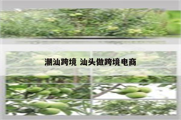 潮汕跨境 汕头做跨境电商