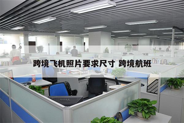 跨境飞机照片要求尺寸 跨境航班