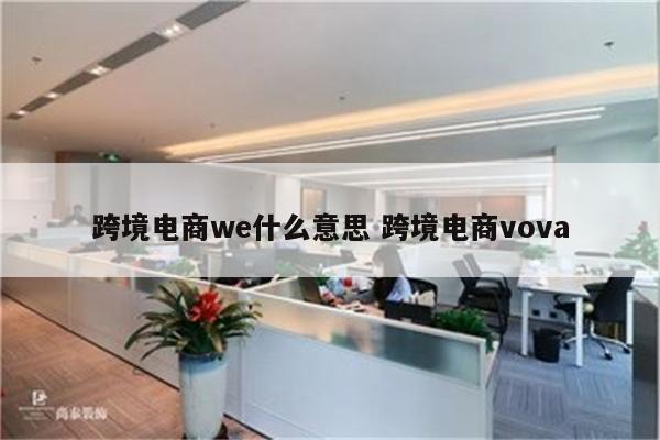 跨境电商we什么意思 跨境电商vova