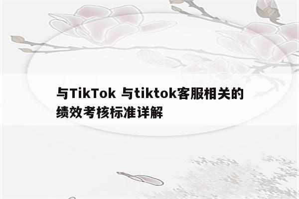 与TikTok 与tiktok客服相关的绩效考核标准详解