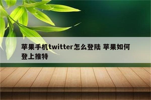 苹果手机twitter怎么登陆 苹果如何登上推特