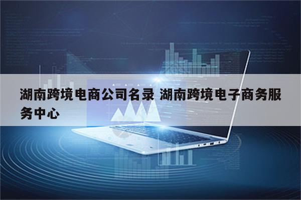 湖南跨境电商公司名录 湖南跨境电子商务服务中心