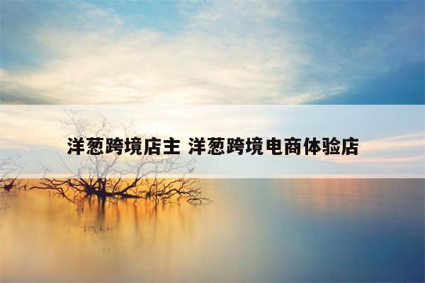 洋葱跨境店主 洋葱跨境电商体验店