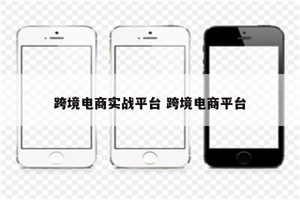 跨境电商实战平台 跨境电商平台