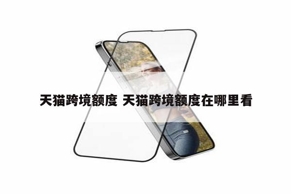 天猫跨境额度 天猫跨境额度在哪里看