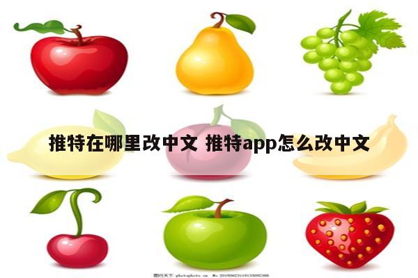推特在哪里改中文 推特app怎么改中文