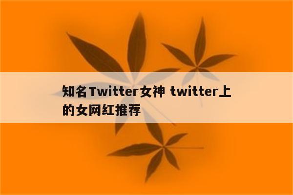 知名Twitter女神 twitter上的女网红推荐