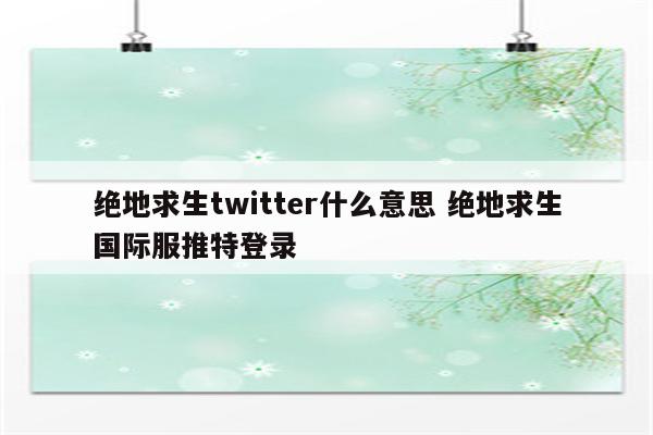 绝地求生twitter什么意思 绝地求生国际服推特登录