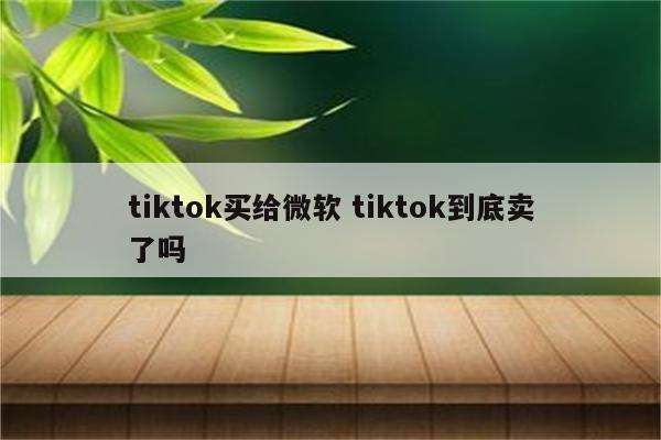 tiktok买给微软 tiktok到底卖了吗
