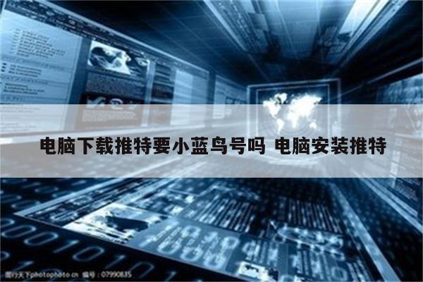 电脑下载推特要小蓝鸟号吗 电脑安装推特