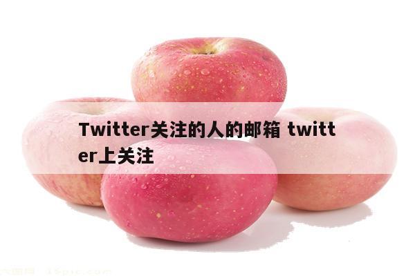 Twitter关注的人的邮箱 twitter上关注