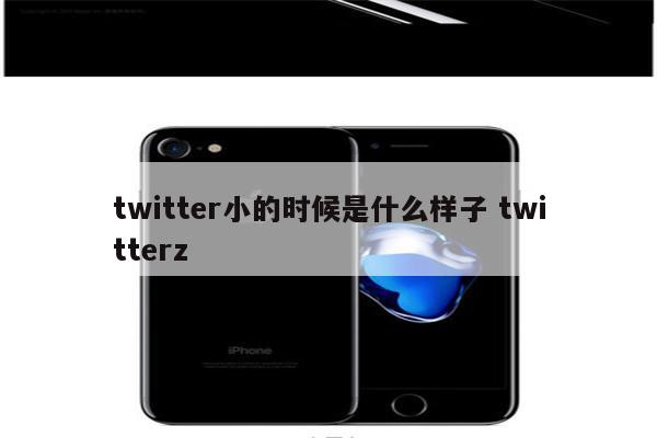 twitter小的时候是什么样子 twitterz