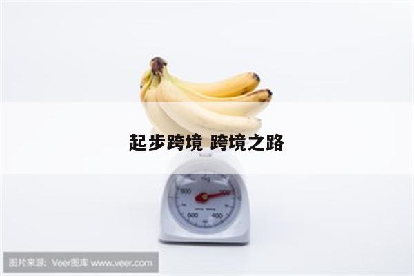 起步跨境 跨境之路