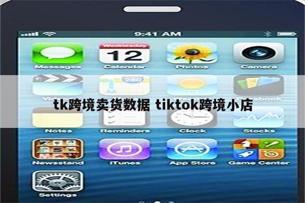 tk跨境卖货数据 tiktok跨境小店