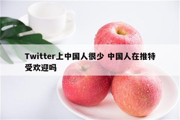 Twitter上中国人很少 中国人在推特受欢迎吗