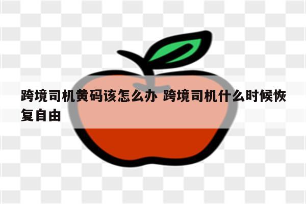 跨境司机黄码该怎么办 跨境司机什么时候恢复自由