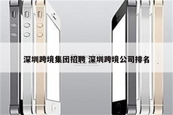 深圳跨境集团招聘 深圳跨境公司排名