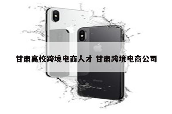 甘肃高校跨境电商人才 甘肃跨境电商公司
