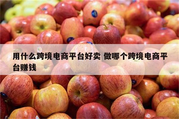 用什么跨境电商平台好卖 做哪个跨境电商平台赚钱