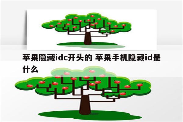 苹果隐藏idc开头的 苹果手机隐藏id是什么