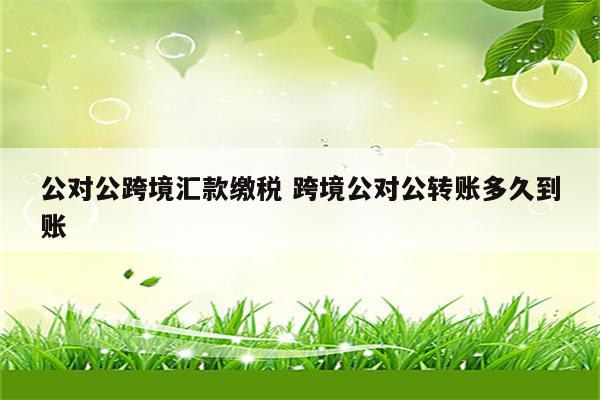 公对公跨境汇款缴税 跨境公对公转账多久到账