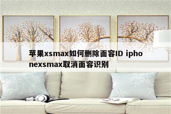 苹果xsmax如何删除面容ID iphonexsmax取消面容识别