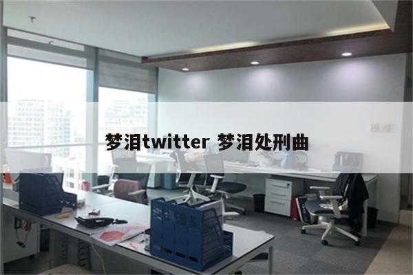 梦泪twitter 梦泪处刑曲