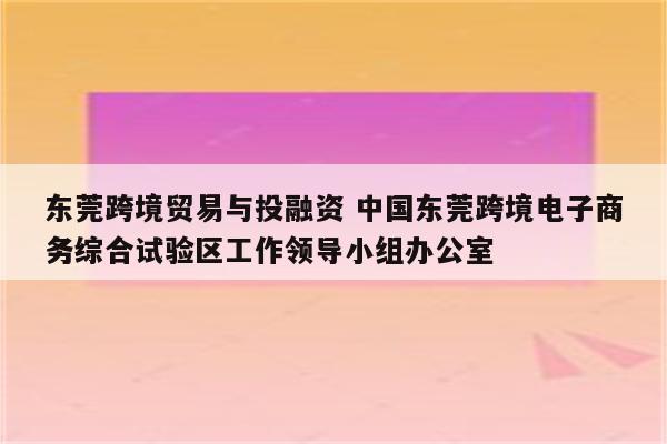 东莞跨境贸易与投融资 中国东莞跨境电子商务综合试验区工作领导小组办公室