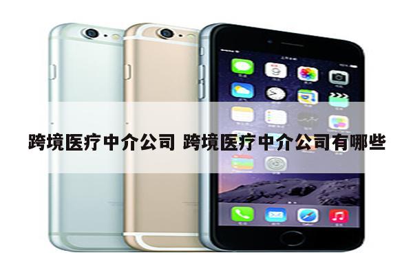 跨境医疗中介公司 跨境医疗中介公司有哪些