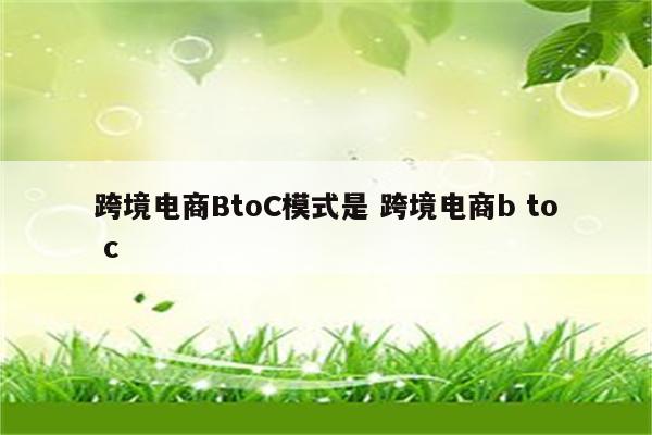 跨境电商BtoC模式是 跨境电商b to c
