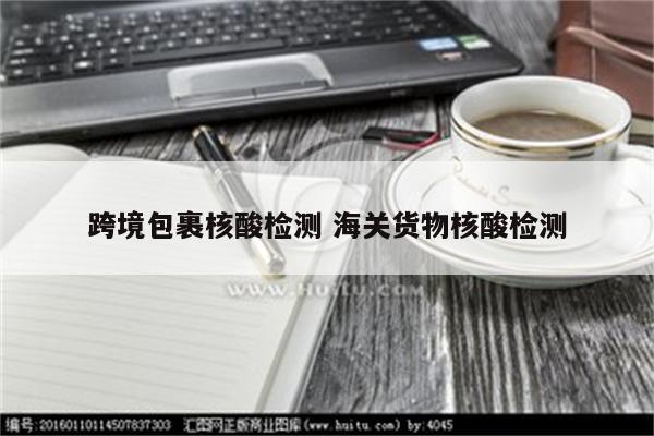 跨境包裹核酸检测 海关货物核酸检测