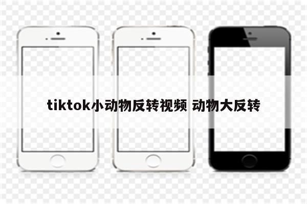 tiktok小动物反转视频 动物大反转
