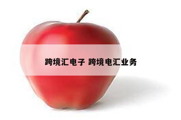 跨境汇电子 跨境电汇业务