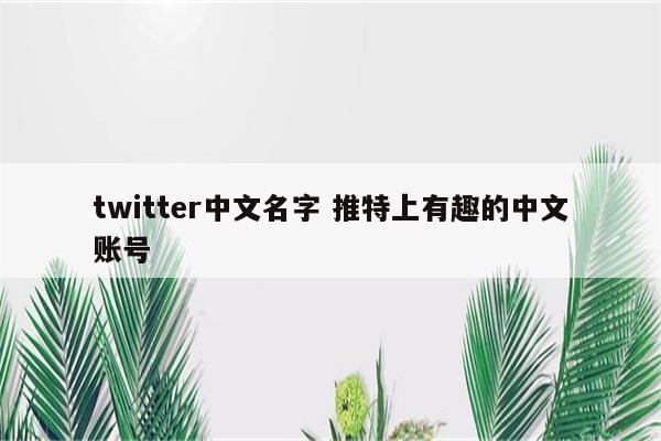 twitter中文名字 推特上有趣的中文账号