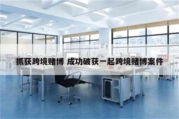 抓获跨境赌博 成功破获一起跨境赌博案件